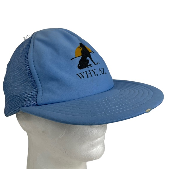 Why Arizona SnapBack Trucker Hat Cap Rare Heavy Patina Thrashed Heavy Wear VTG main image 5